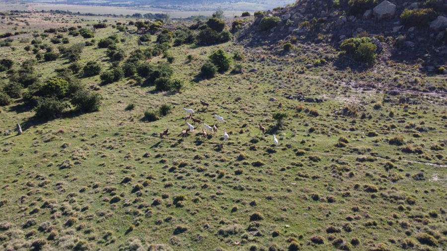 Commercial Property for Sale in Paul Roux Free State